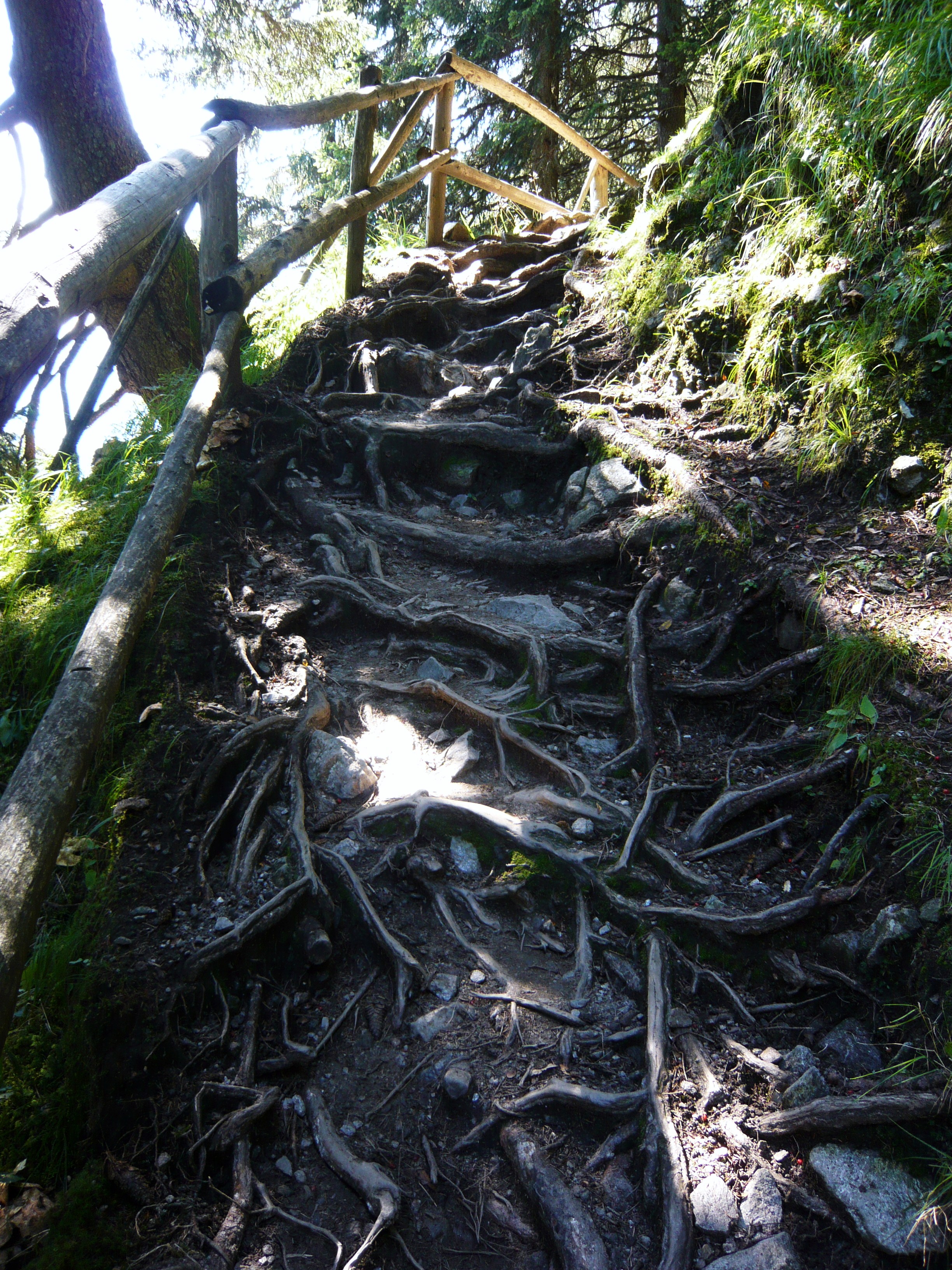 � Eckart Schneider